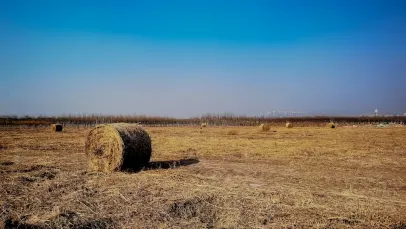 Καζίνο Λάκι Παντσ Μπίνγκο Κινητη εφαρμογη